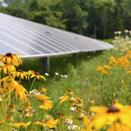 Denison bioreserve solar array